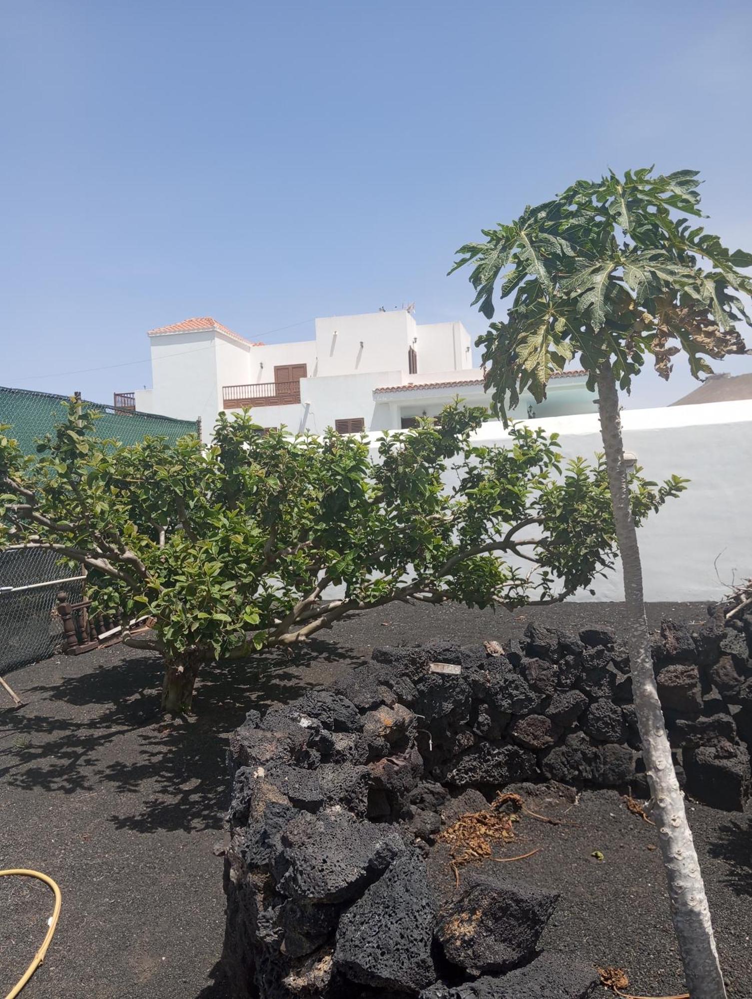 Casa Siempreviva Teguise (Lanzarote) Exterior foto