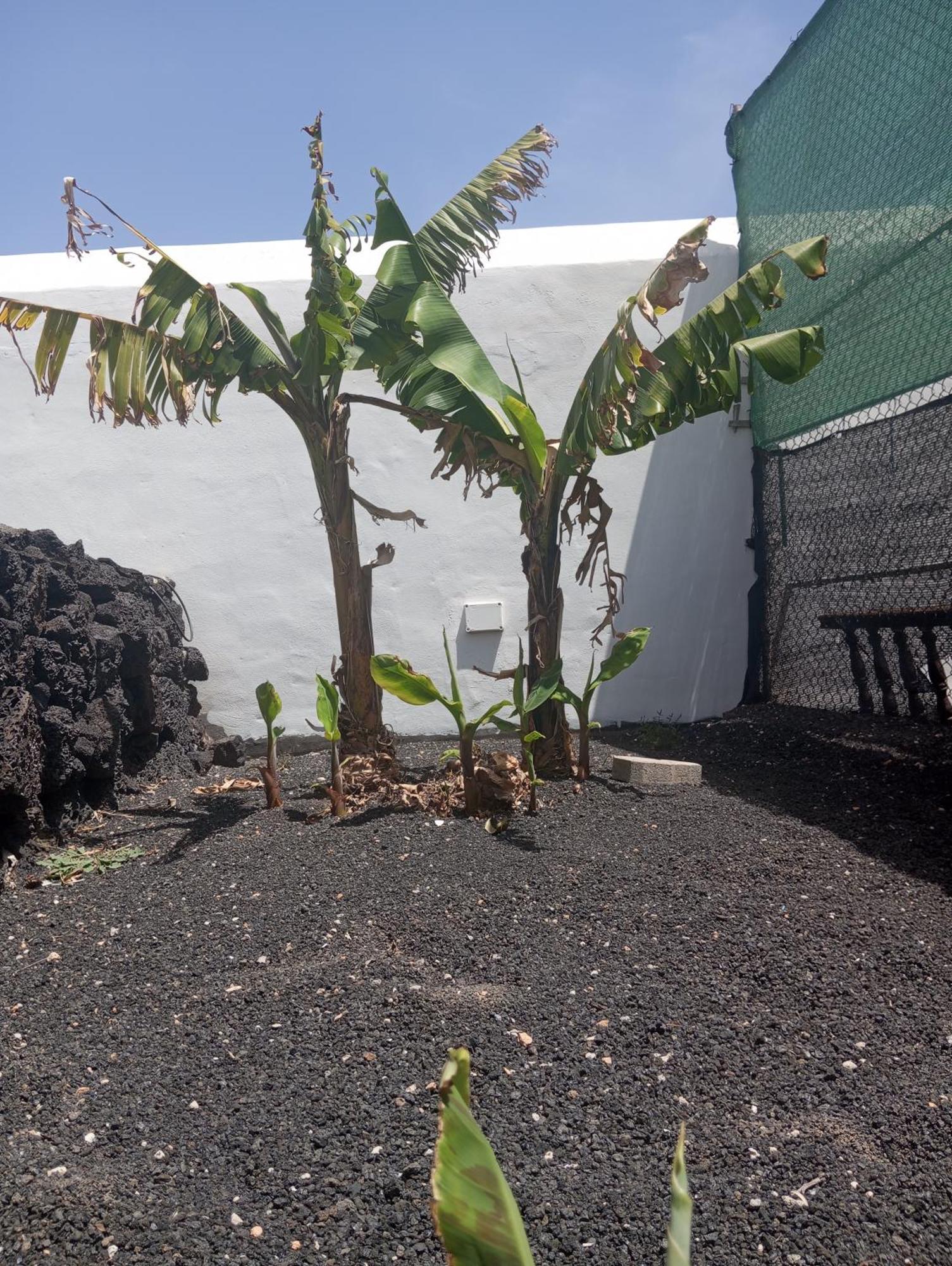 Casa Siempreviva Teguise (Lanzarote) Exterior foto